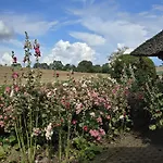 Lejlighed Urlaub Unterm Reet Olendorf