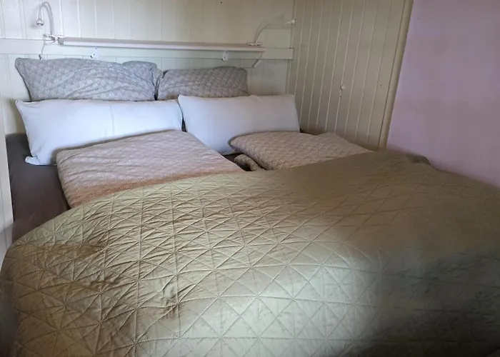 Urlaub Unterm Reet *