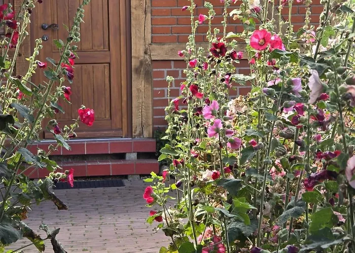 Apartament Urlaub Unterm Reet